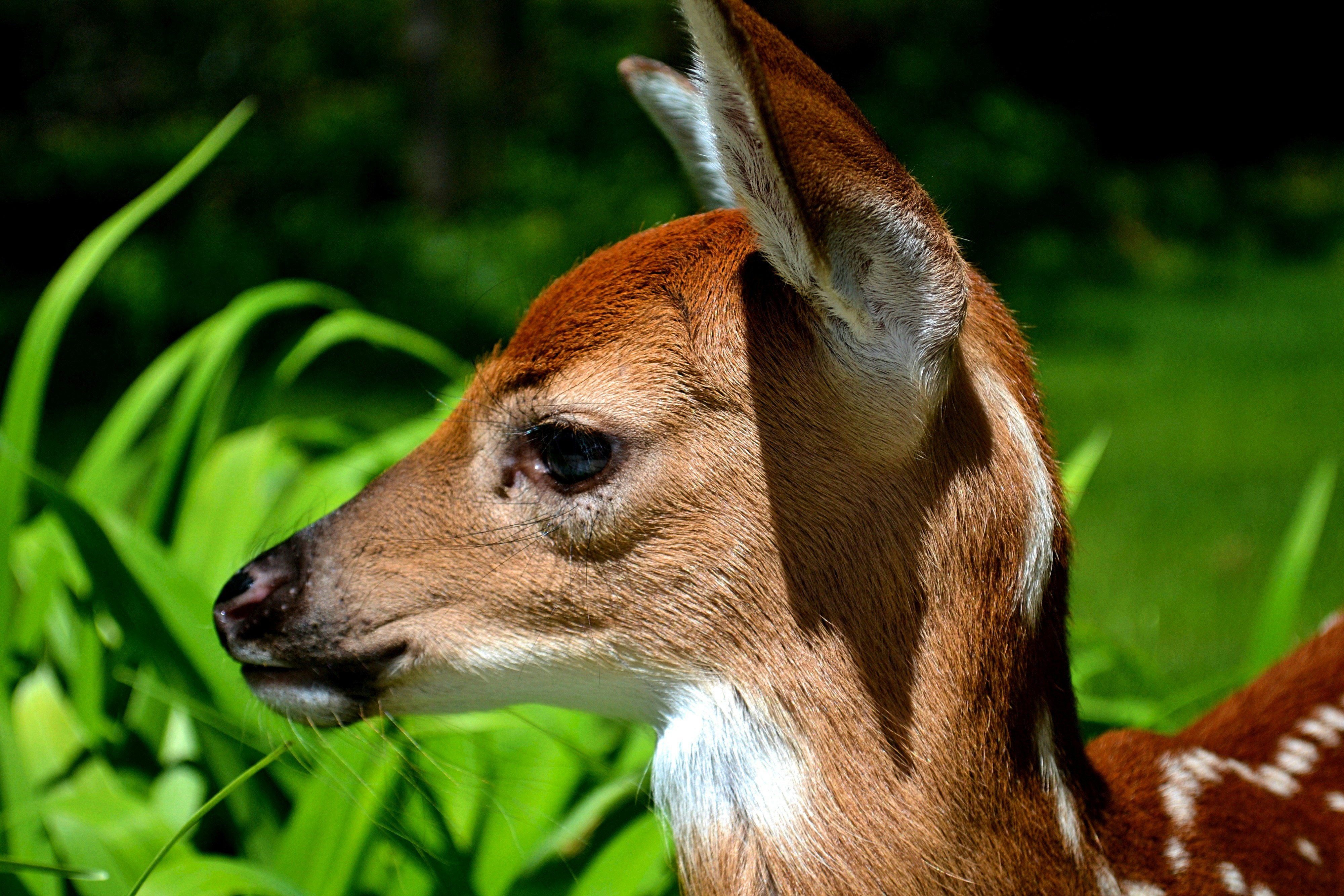 Photo by michealcopley03