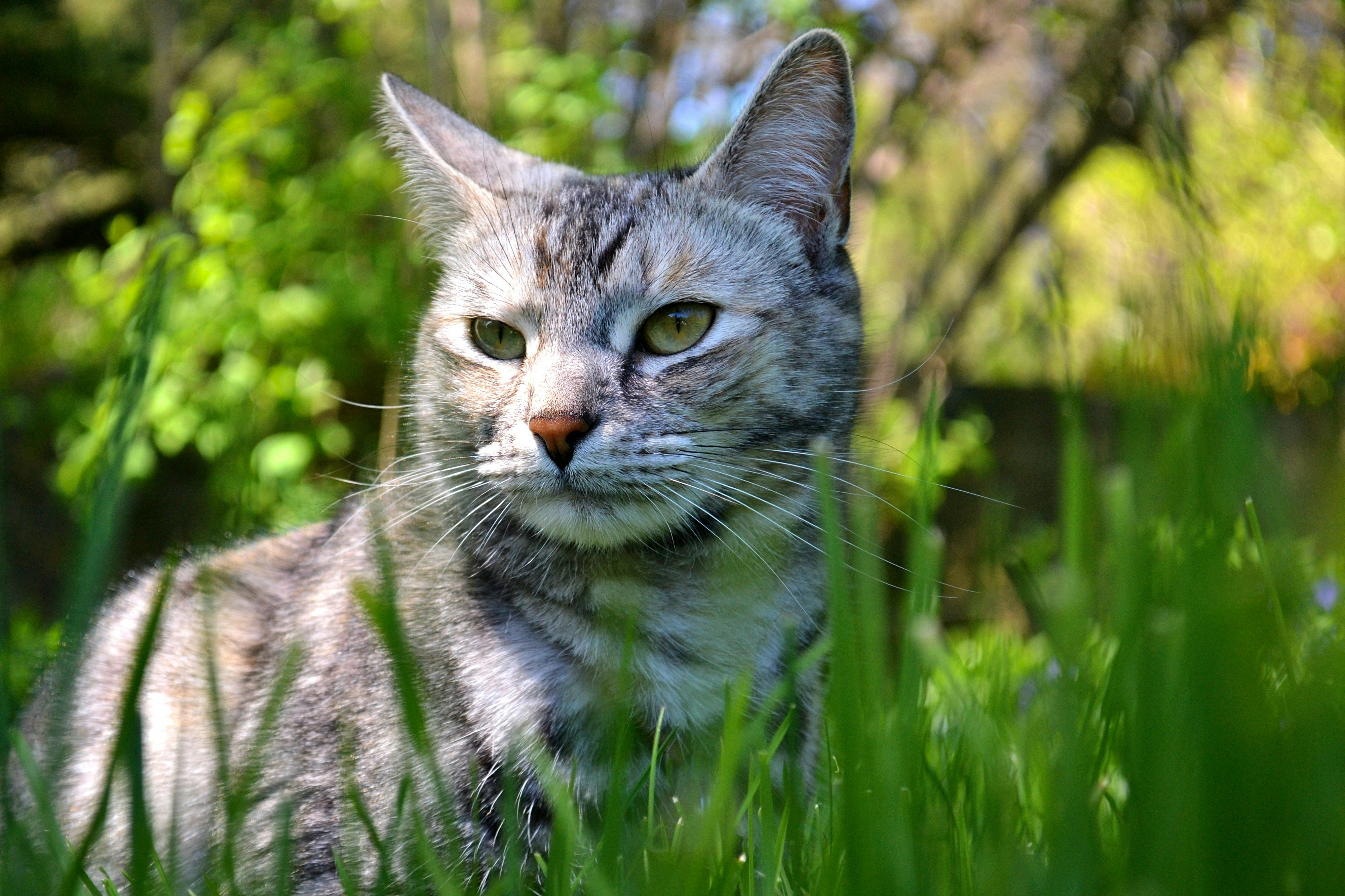 Photo by michealcopley03