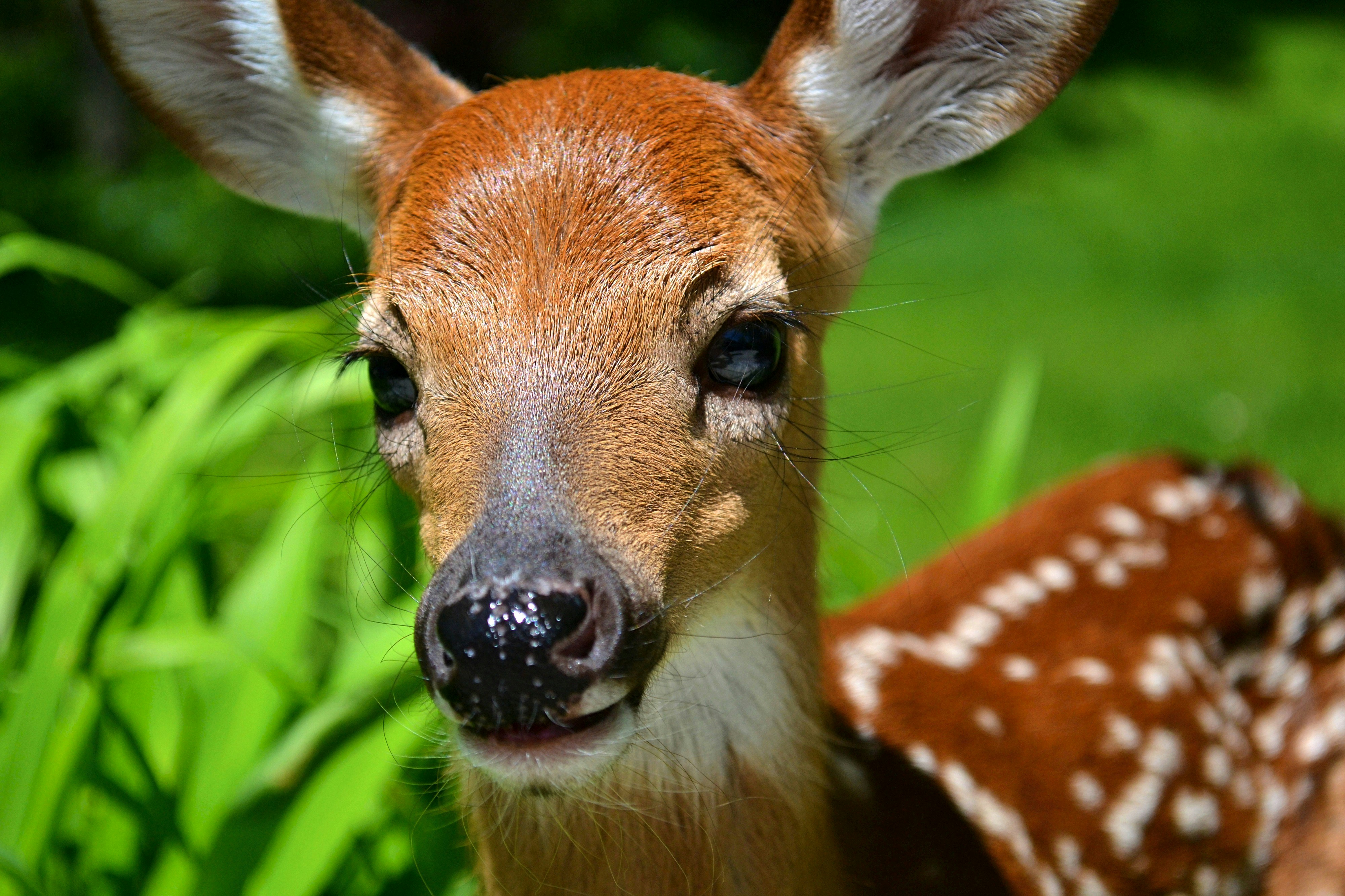 Photo by michealcopley03