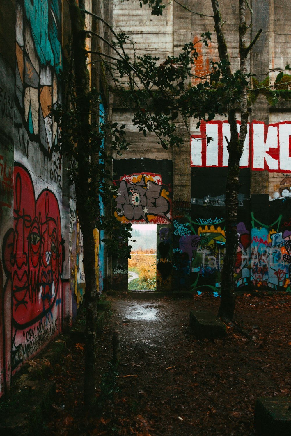 graffiti on wall during daytime