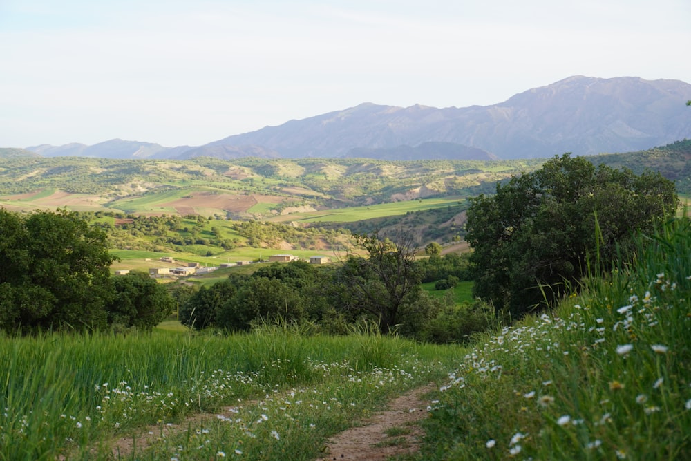 green grass field near mountain during daytime