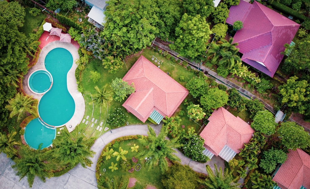 aerial view of green trees and pink roof tiles