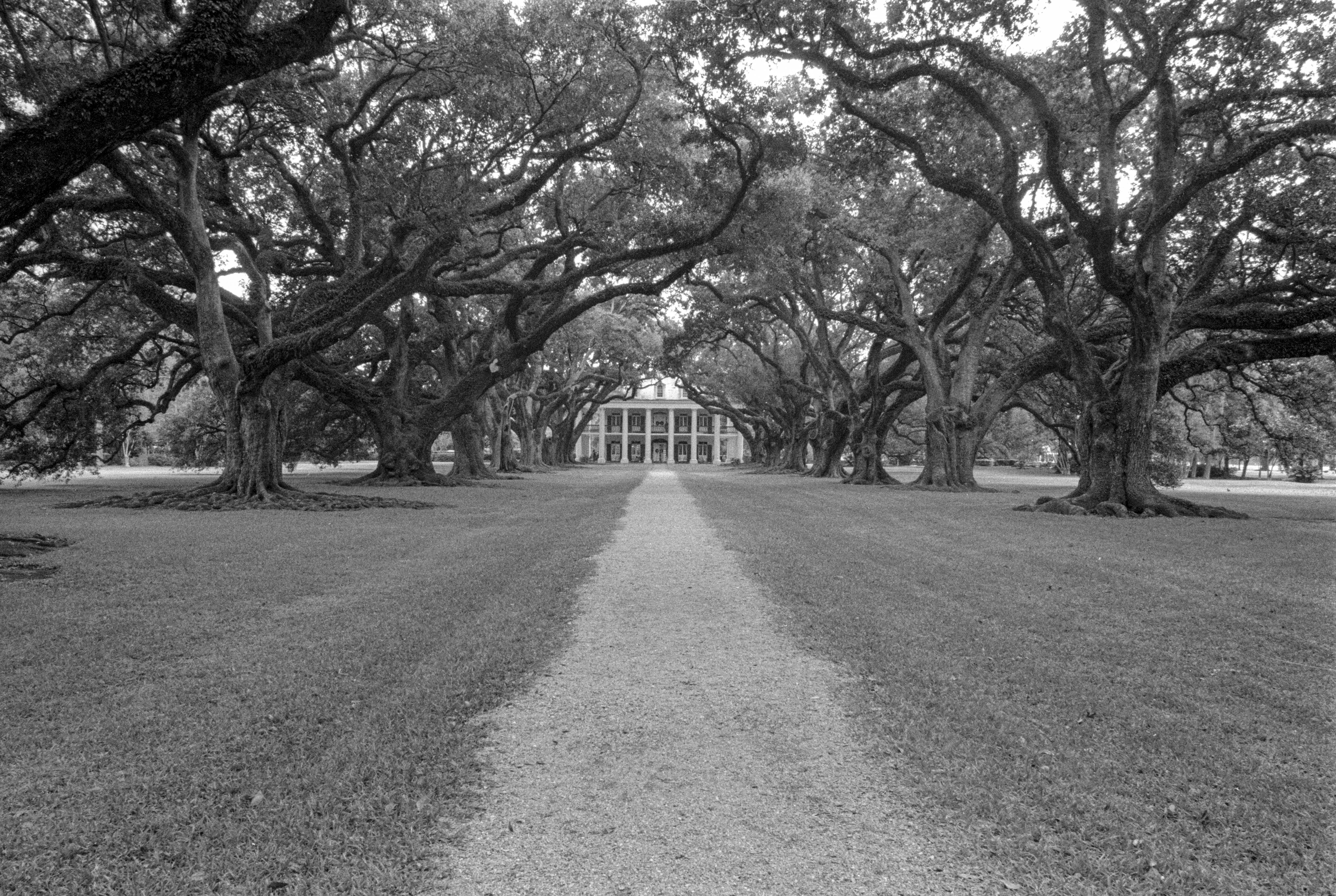 Oak Alley is a plantation house with a beautiful avenue of old southern live oaks. Shot on Kodak Tmax 100 film, 2001, Canon A2E.