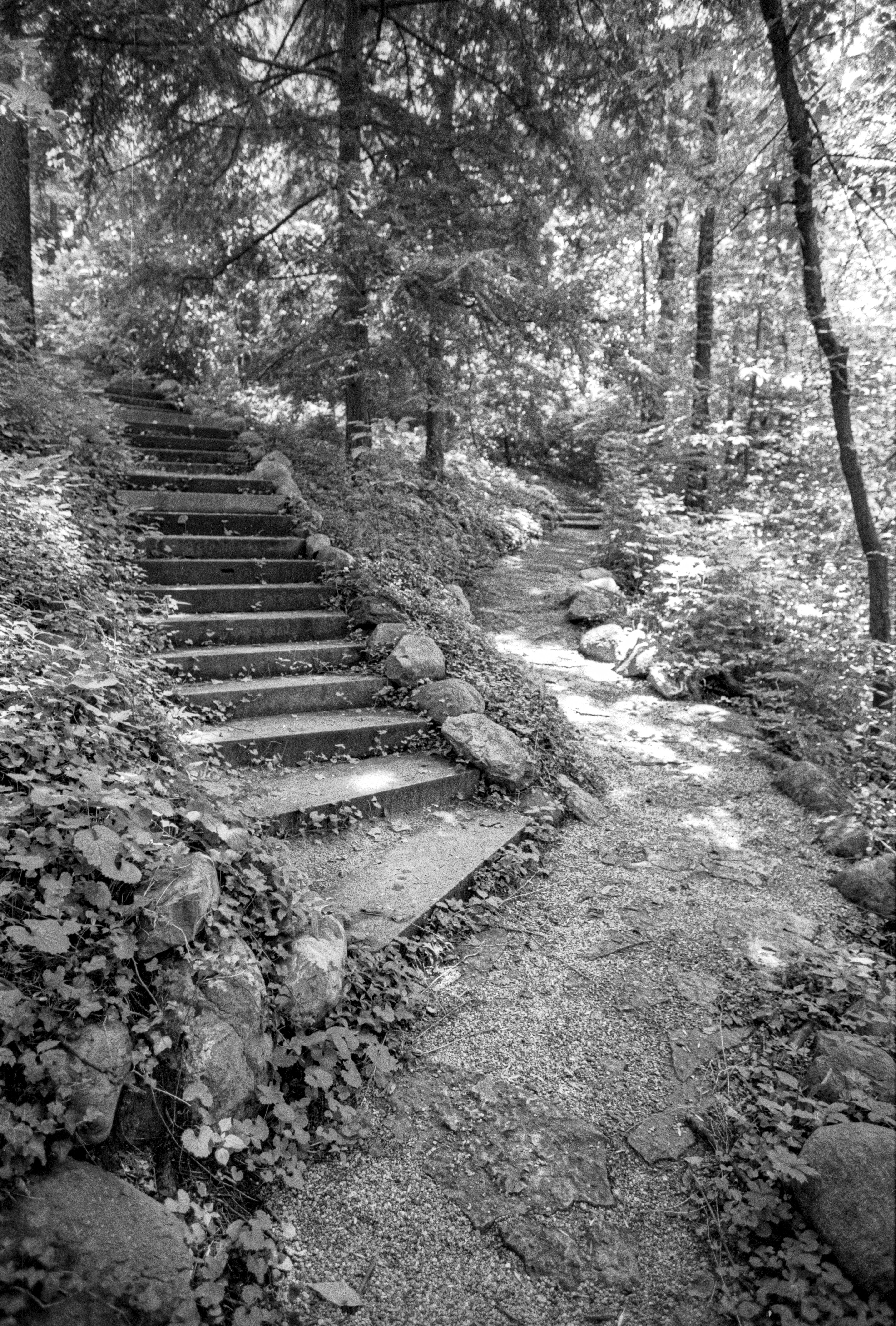 Photo by rocinante_11