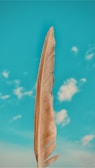A drifting feather caught mid-air against a soft blue sky, symbolizing gentle change.