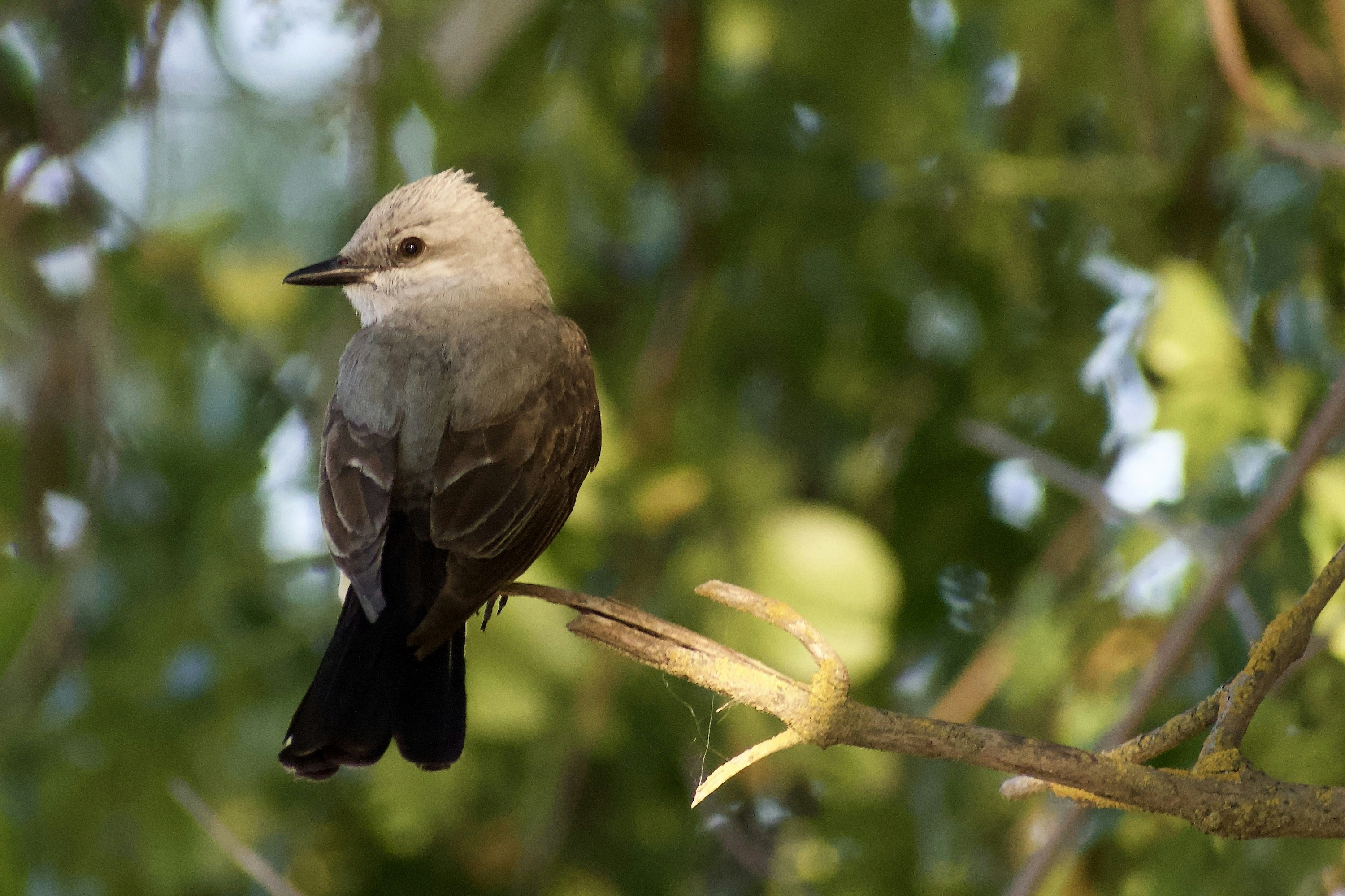 Photo by elisastonephotography