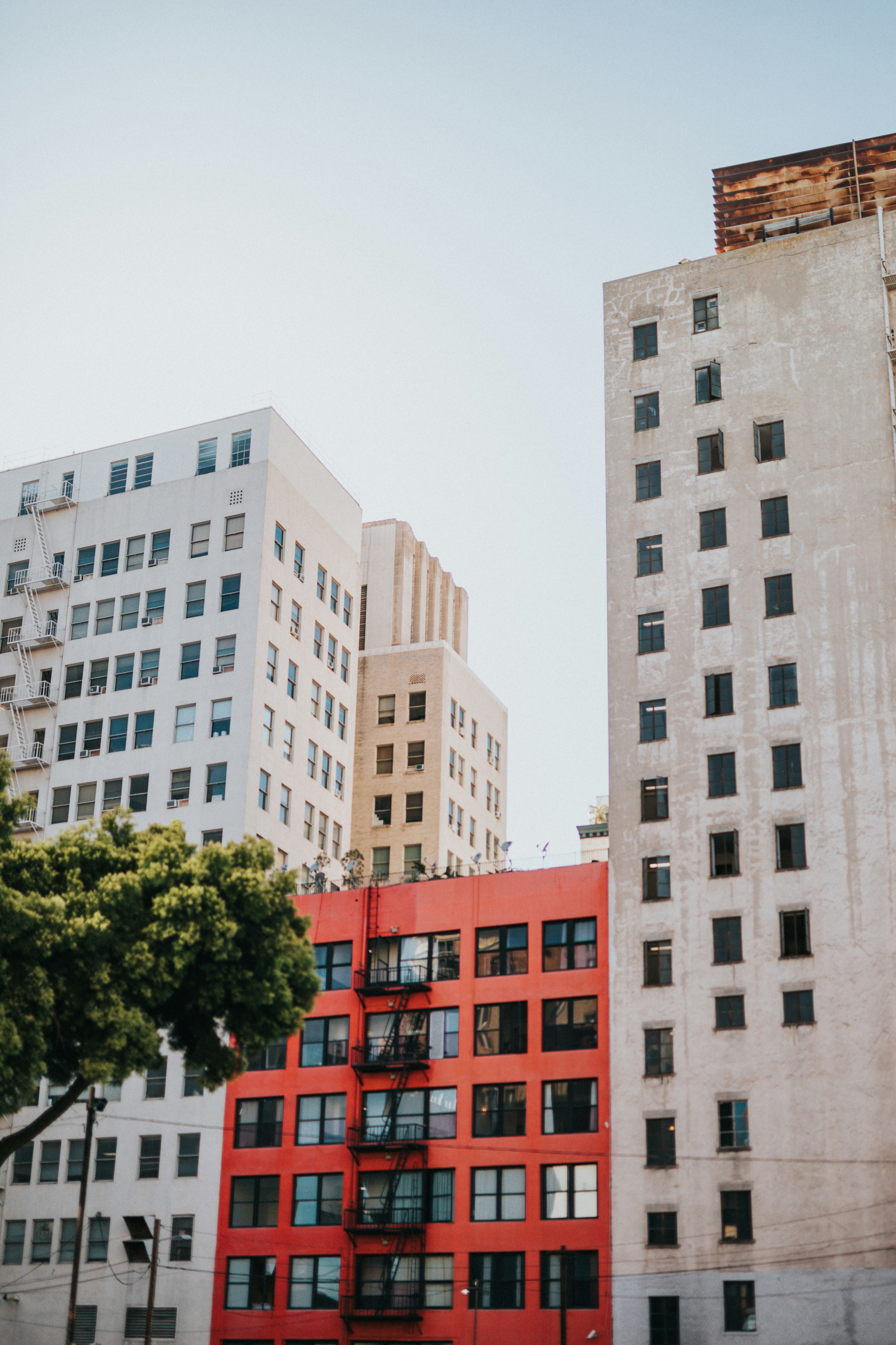 Photo by nate_dumlao