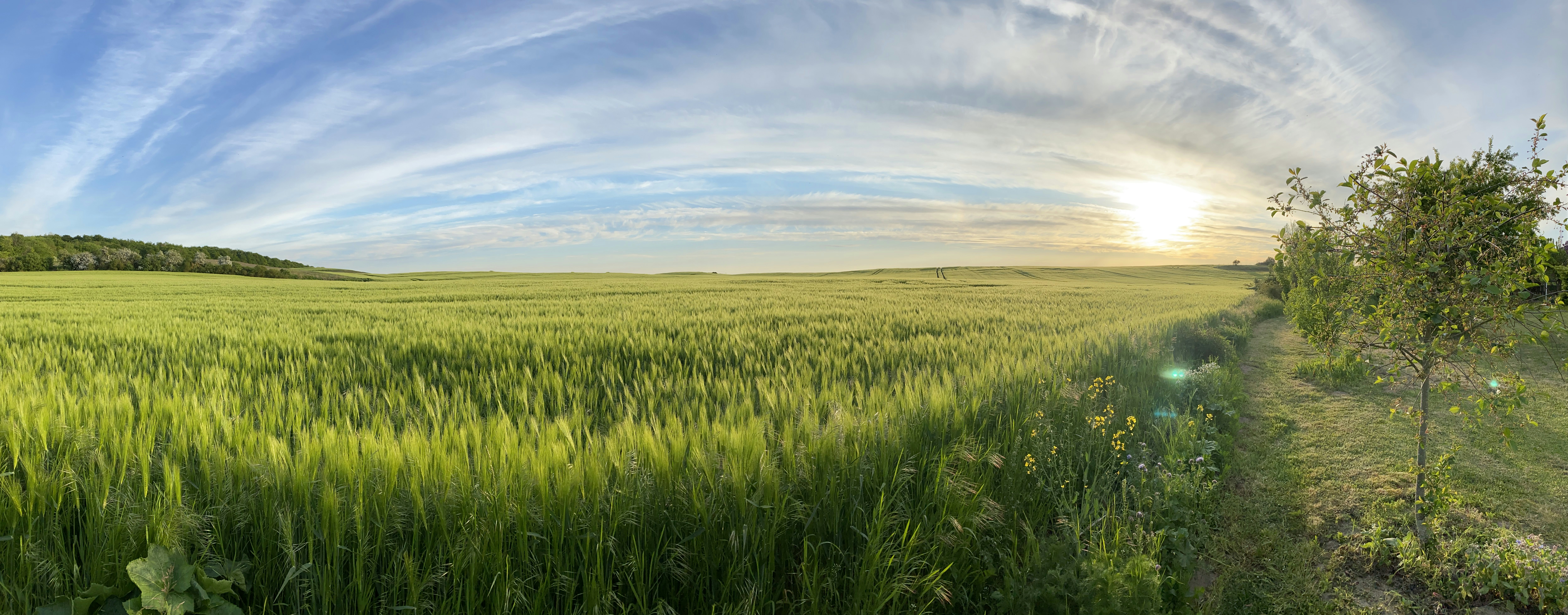 Photo by matthias_patzuda