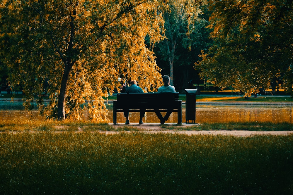 brown wooden bench on green grass field near brown trees during daytime