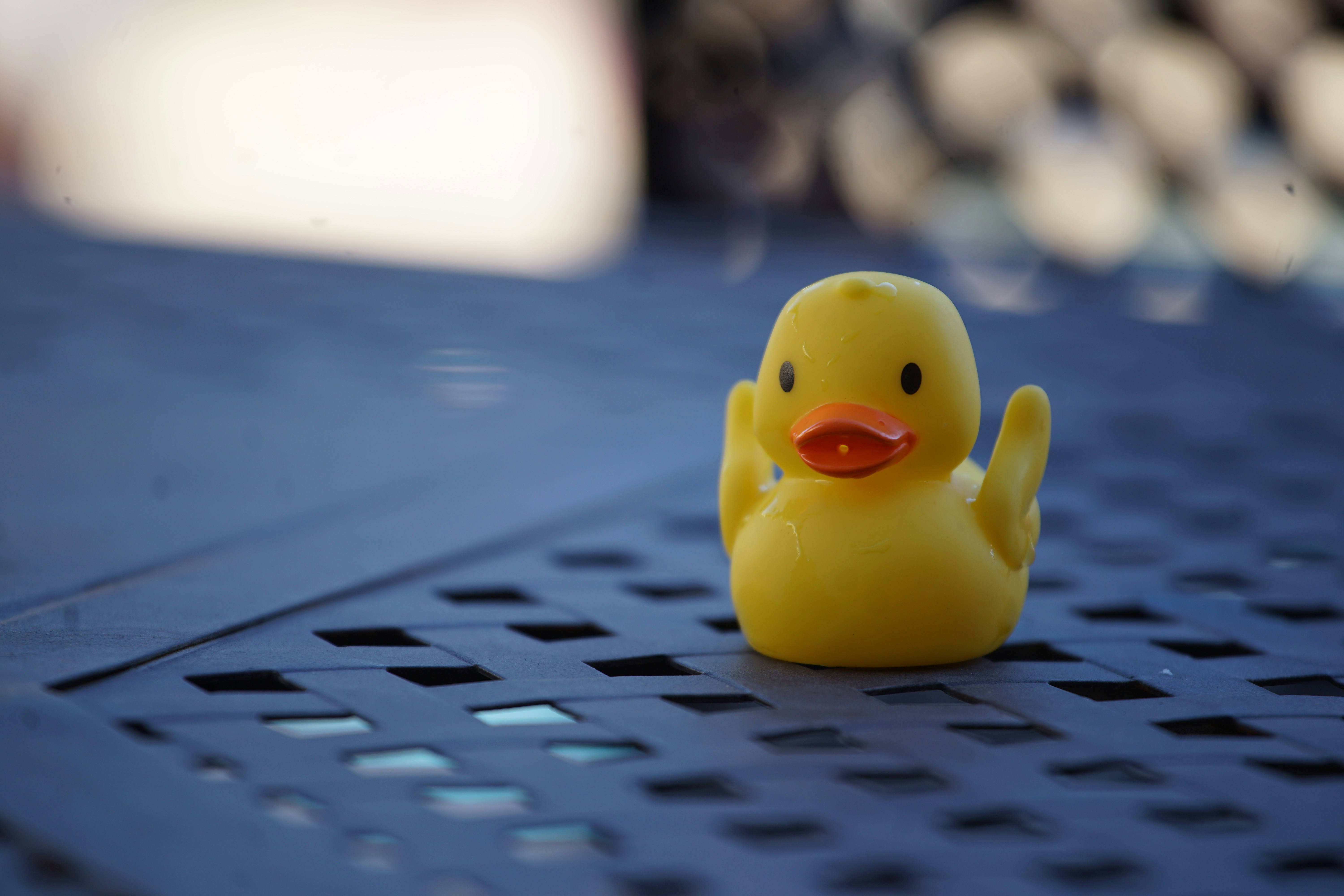 Duck Typing: Why Behavior Sometimes Matters More Than Type