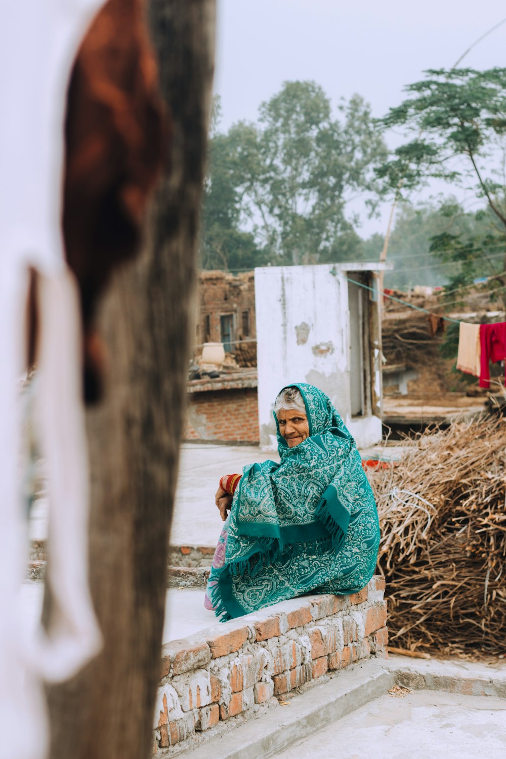 woman in green hijab sitting on brown dried grass during daytime