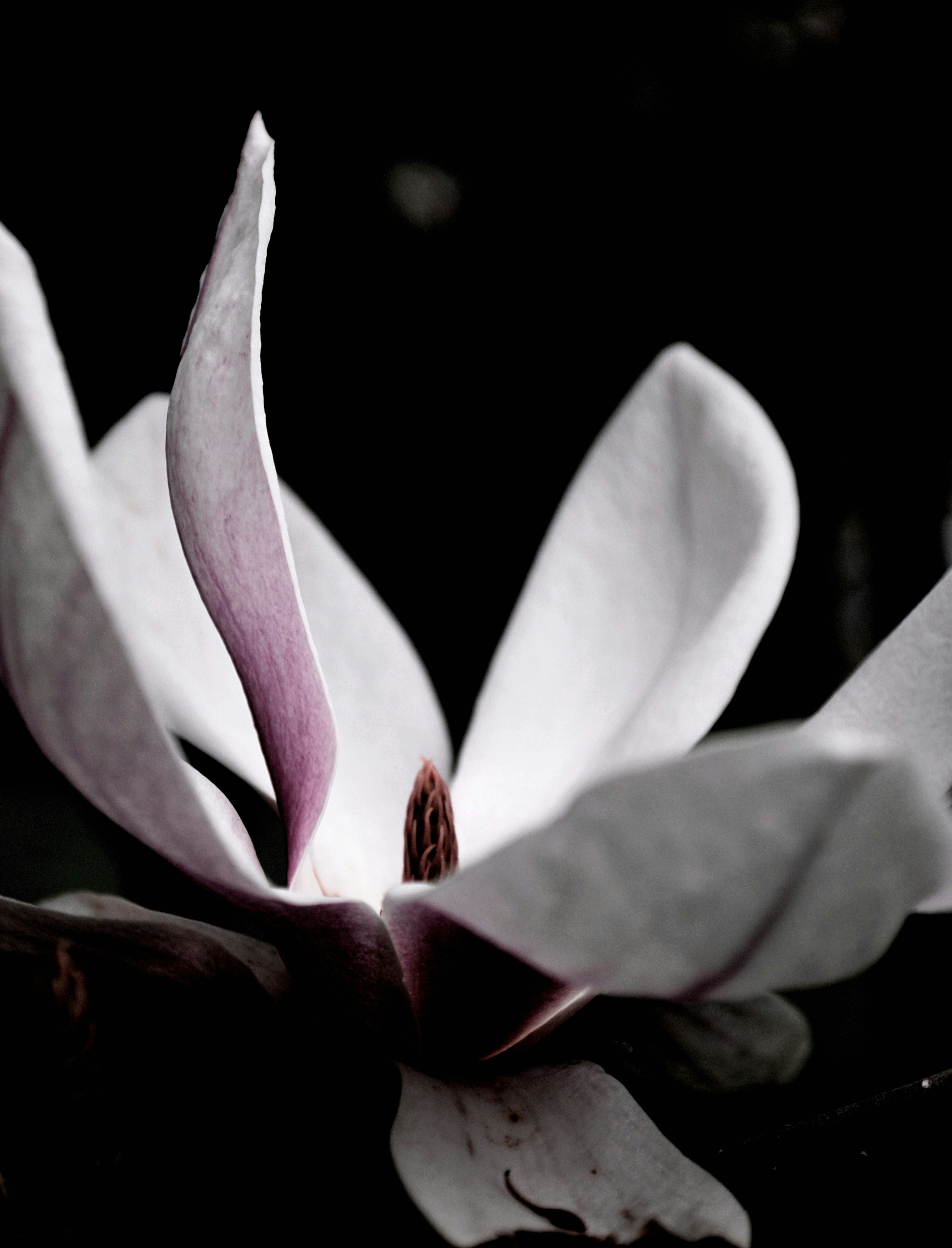 Photo by michealcopley03