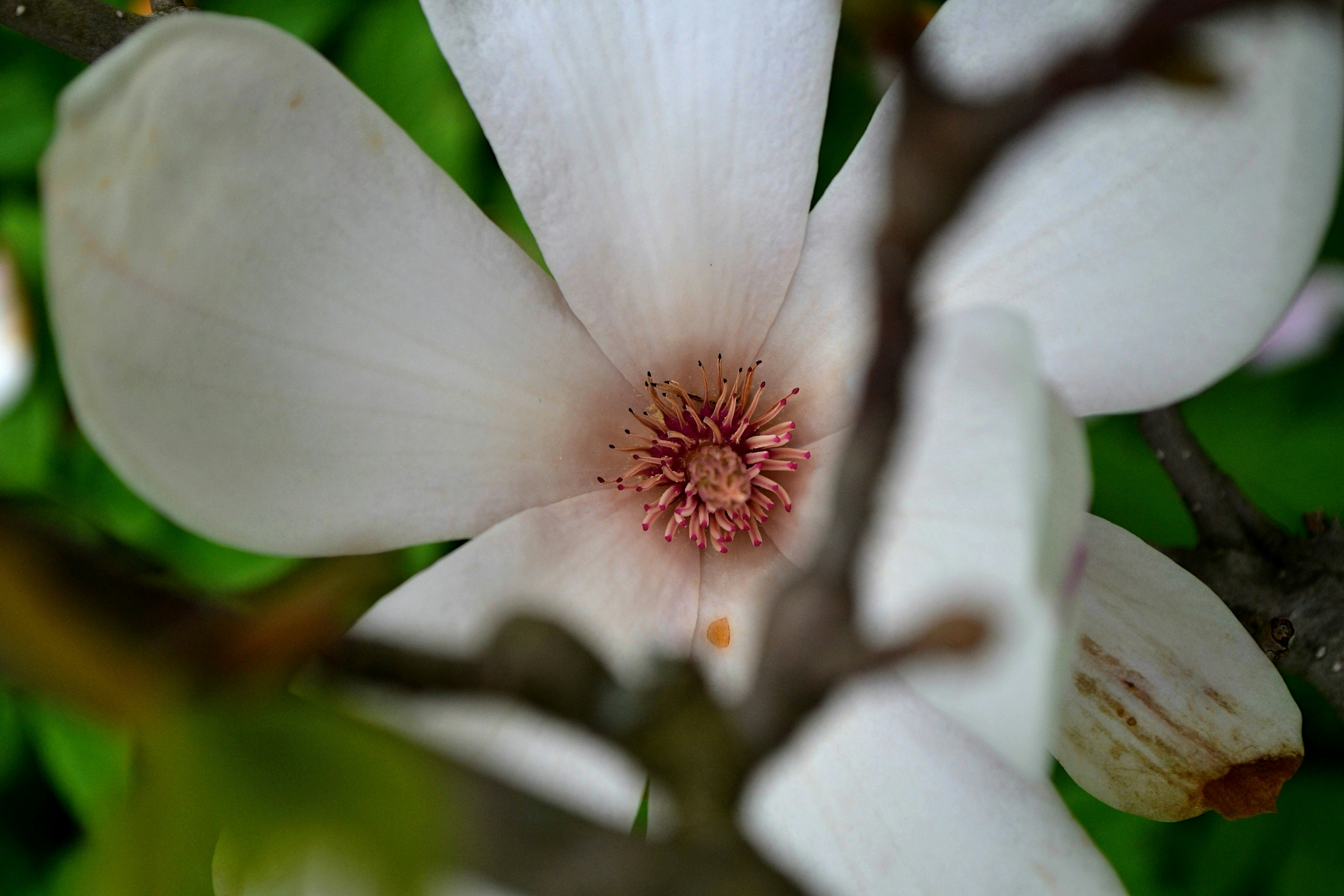 Photo by michealcopley03