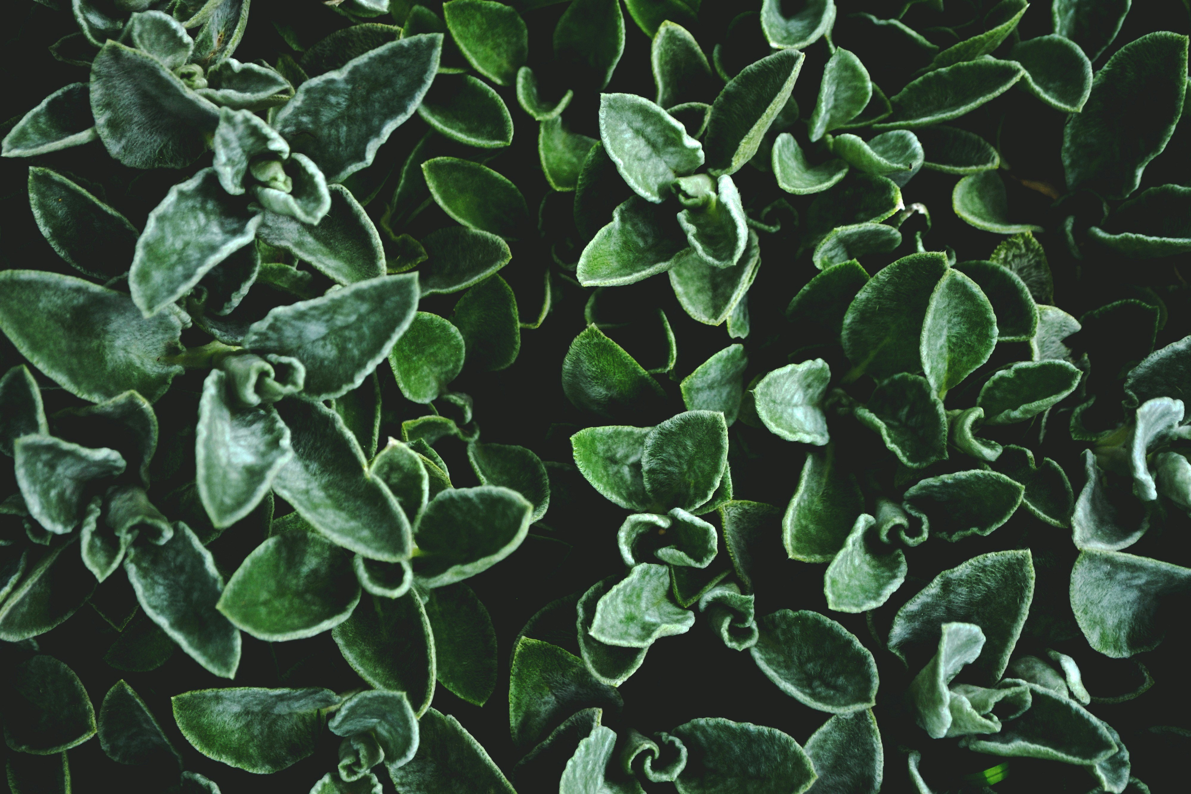 Photo by michealcopley03