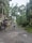 A street scene after a storm with fallen branches and debris scattered on the ground. A person wearing a blue vest is walking away while holding a broom, likely engaged in cleaning efforts. Buildings line the street with partially damaged facades.