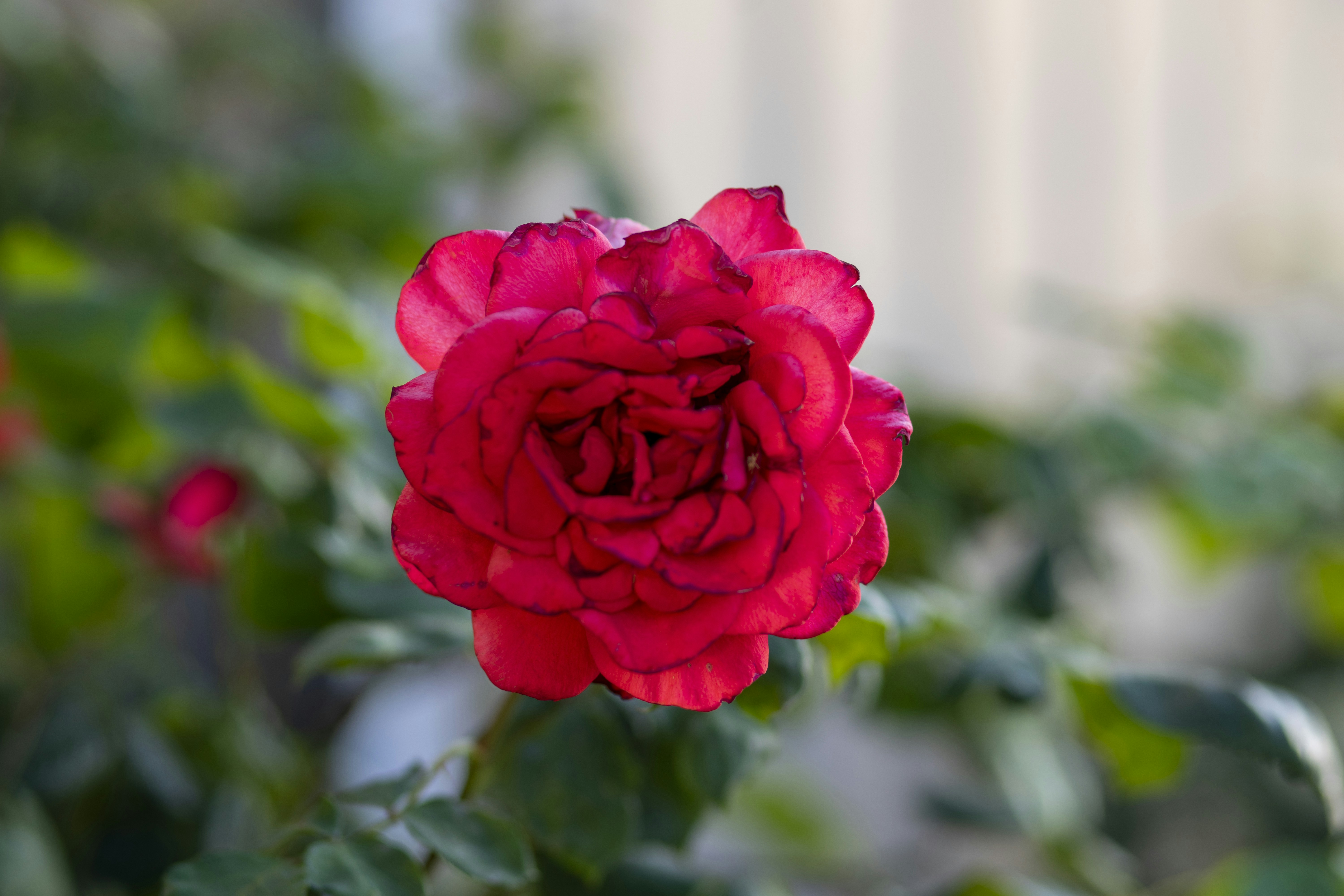 Photo by denisseleon