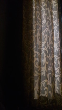 A curtain with an intricate vine-like pattern in muted shades hanging partly open, letting in a soft, ambient light. The room is mostly dark, and the light casts gentle shadows, highlighting the ornamental design on the curtain.