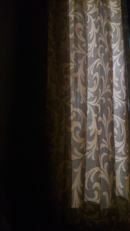 A curtain with an intricate vine-like pattern in muted shades hanging partly open, letting in a soft, ambient light. The room is mostly dark, and the light casts gentle shadows, highlighting the ornamental design on the curtain.