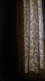 A curtain with an intricate vine-like pattern in muted shades hanging partly open, letting in a soft, ambient light. The room is mostly dark, and the light casts gentle shadows, highlighting the ornamental design on the curtain.