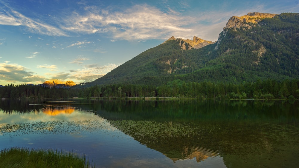 green trees near lake and mountain under blue sky during daytime