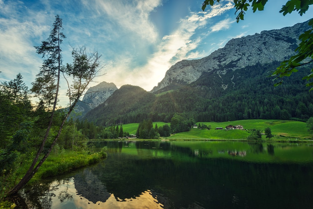 green trees near lake and mountain under blue sky during daytime