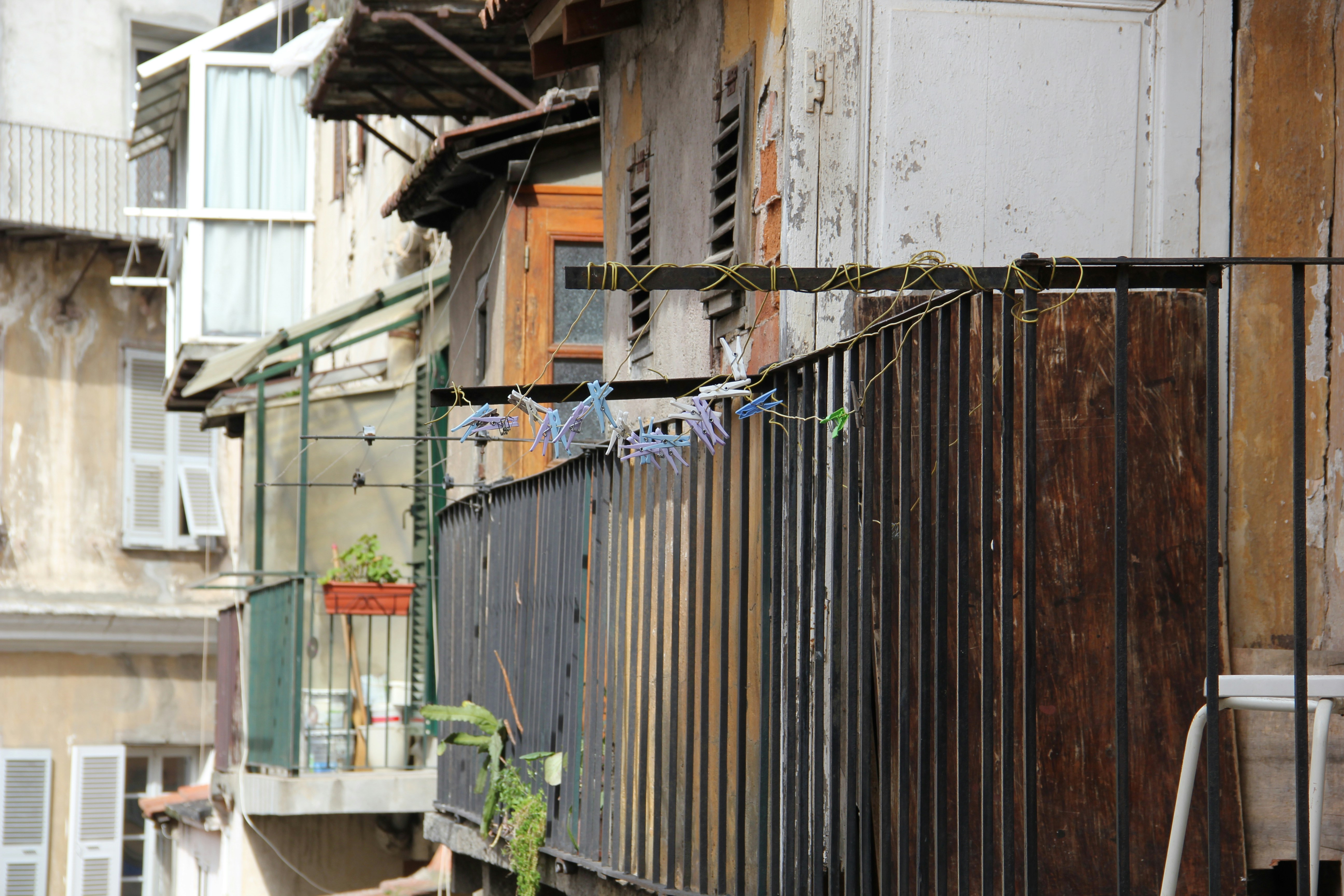 Photo by shalevcohen