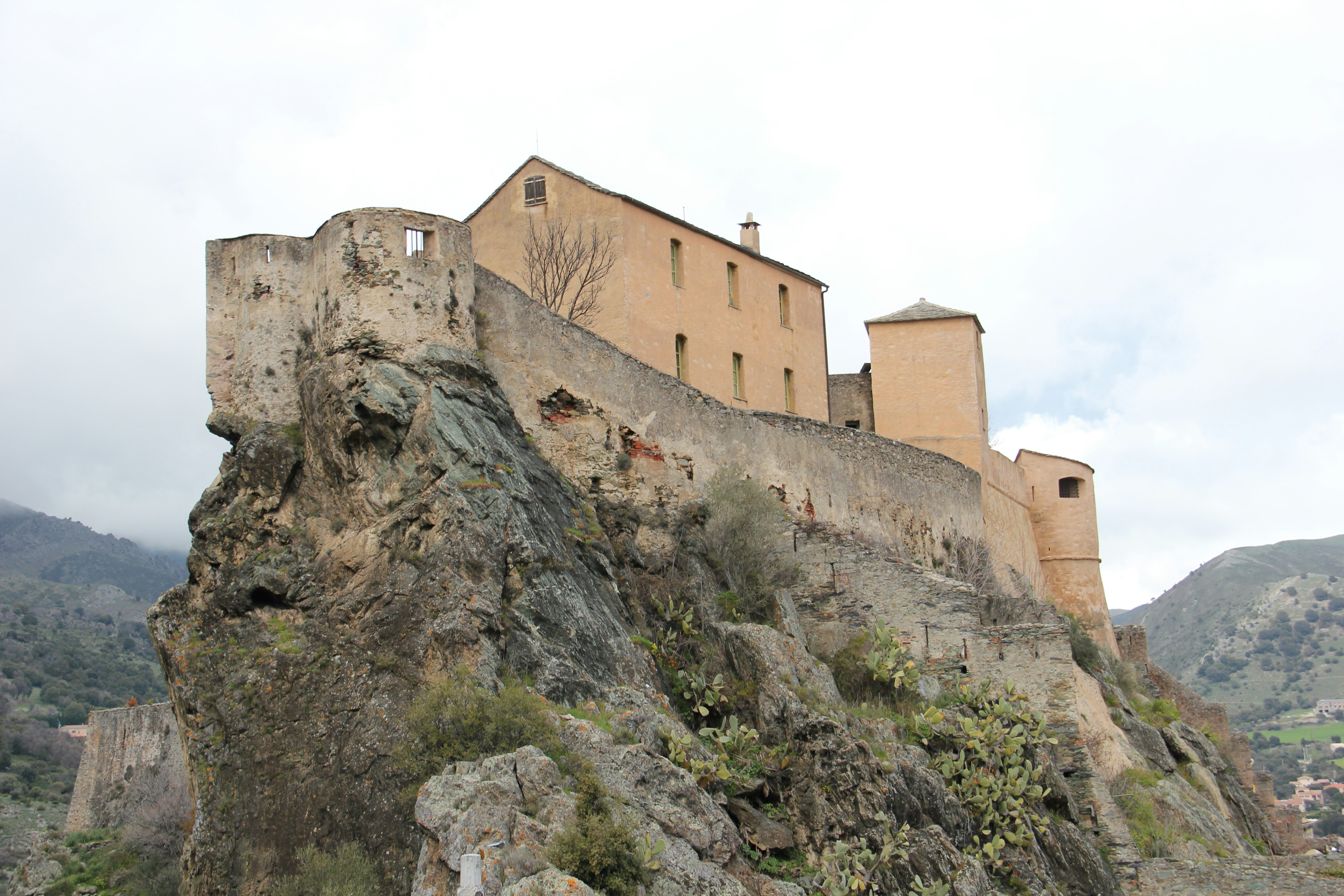 Photo by shalevcohen