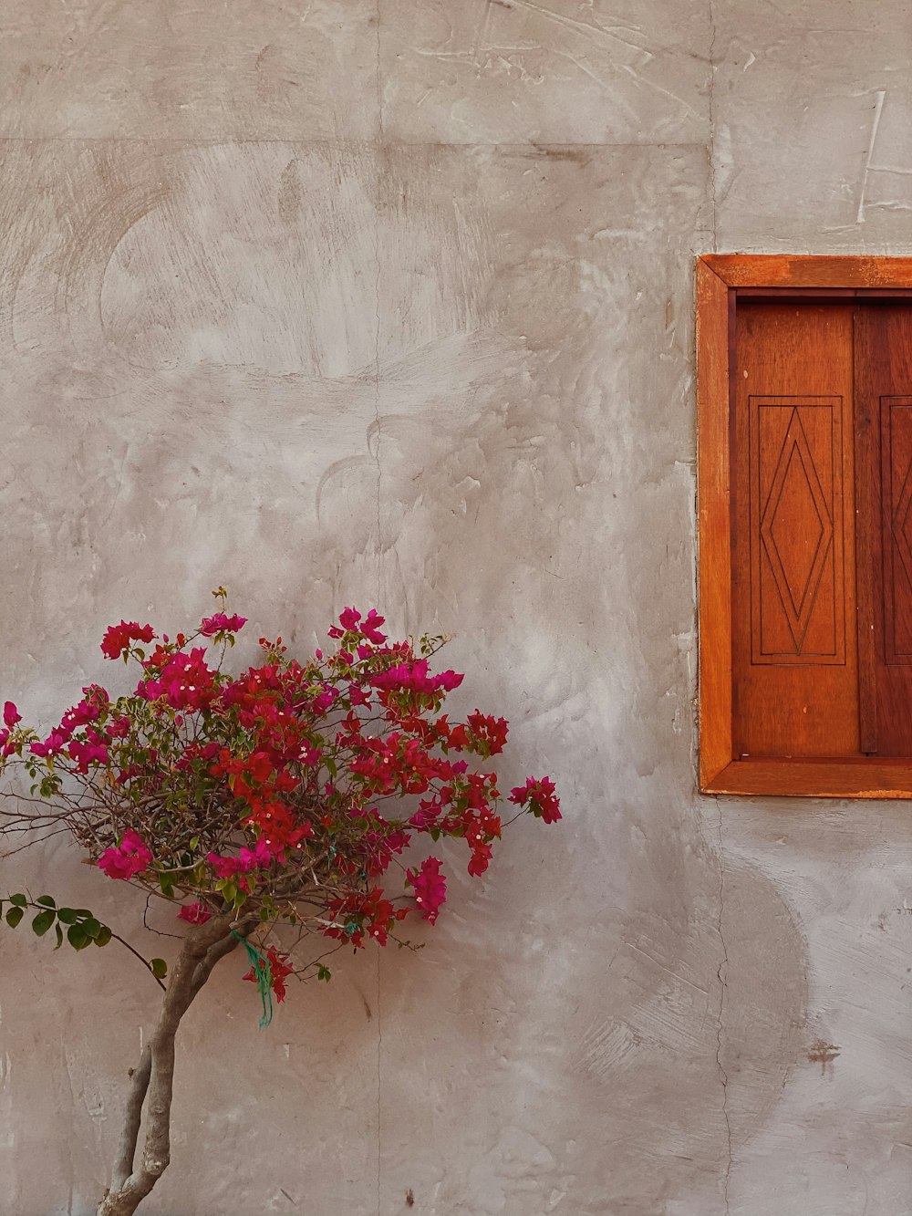 red flowers on white wall