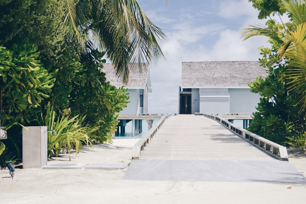 white concrete building near palm trees during daytime