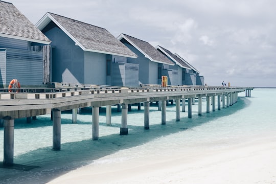 None in Kuramathi Maldives