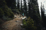 The camper tackling a rocky forest trail with towering pines around.