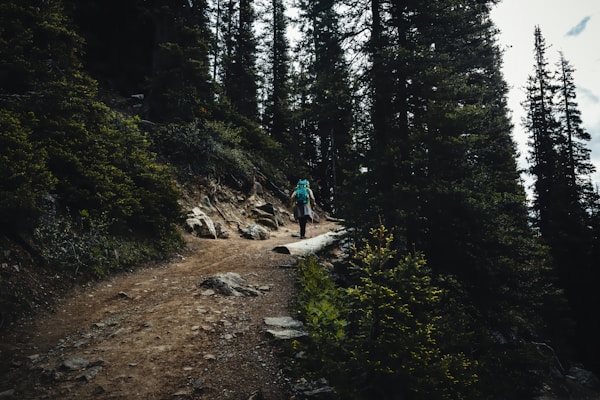 A person is hiking along a dirt trail surrounded by tall pine trees. The path is rocky and lined with greenery, creating a serene and rugged natural setting. The individual carries a backpack, suggesting a journey or exploration.