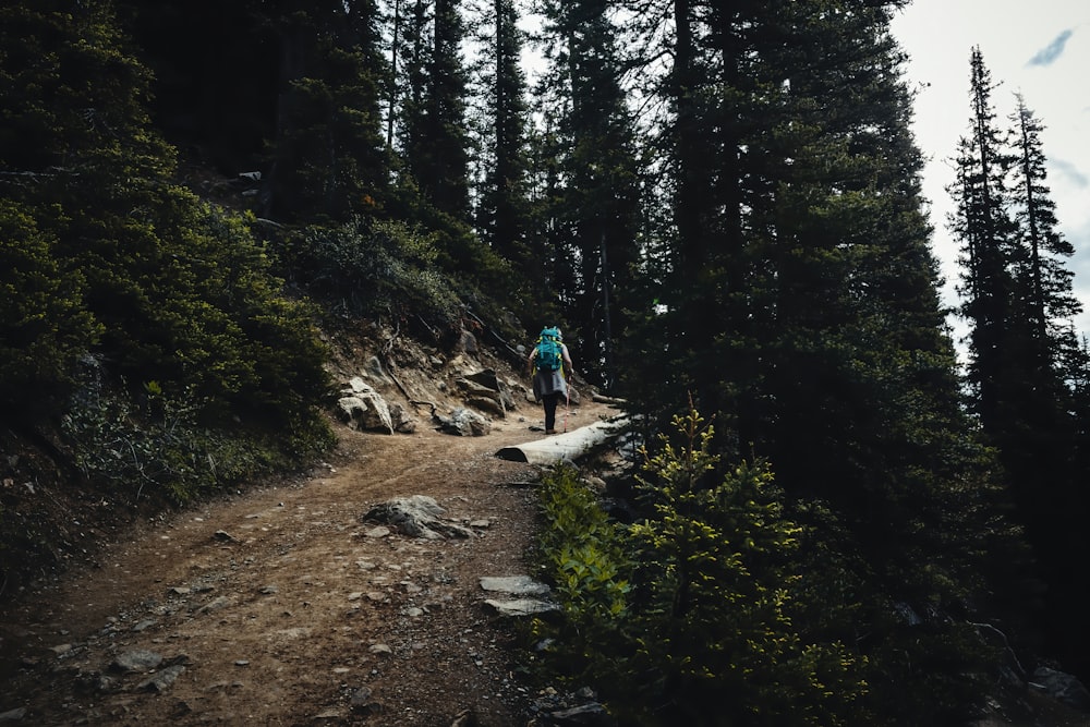 man in green shirt walking on dirt road between green trees during daytime