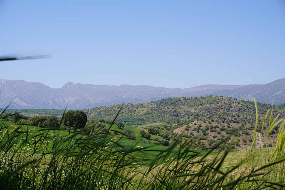 Hill photo spot Luristan Borujerd