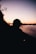 silhouette of man standing near tree during sunset