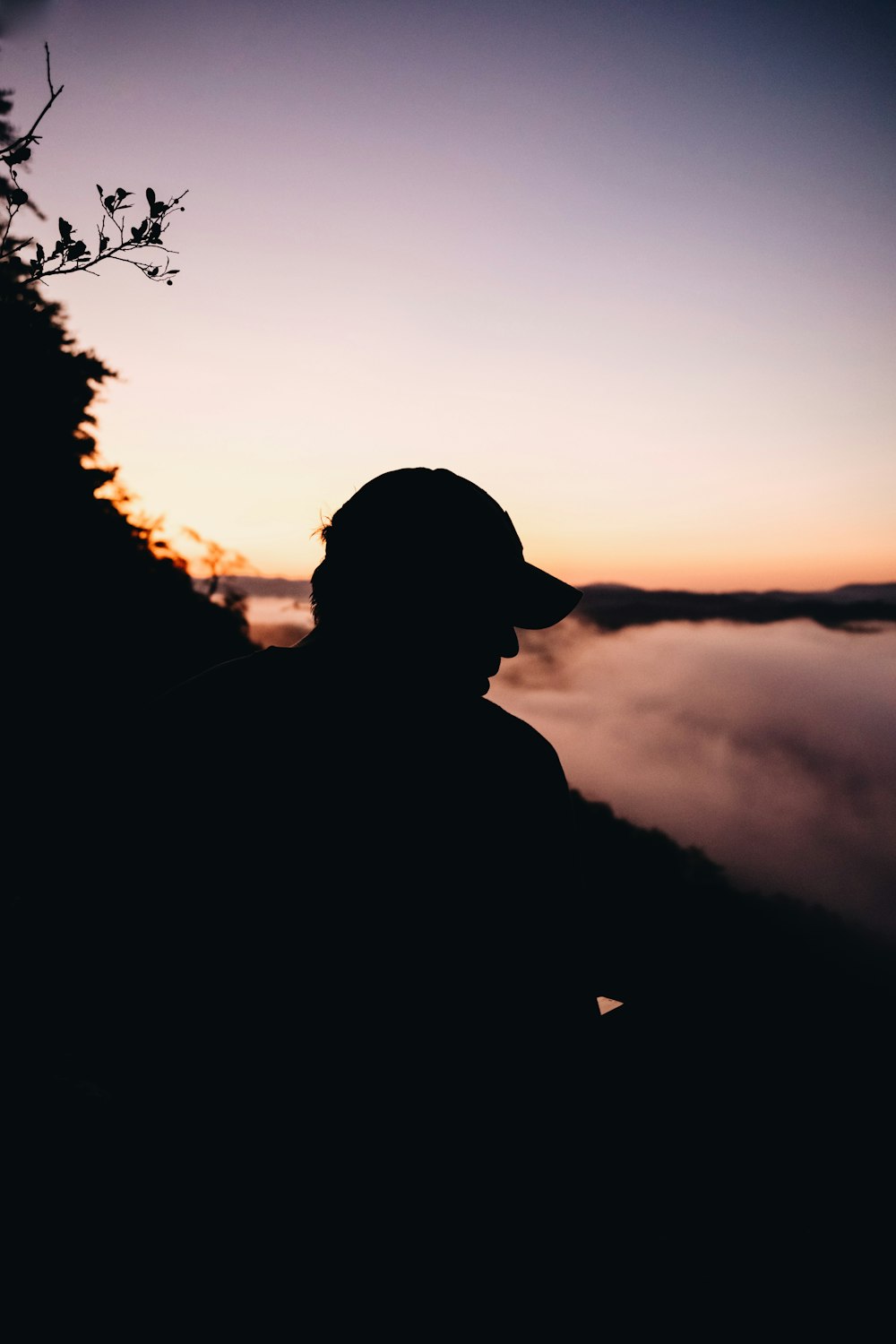 silhouette of man standing near tree during sunset