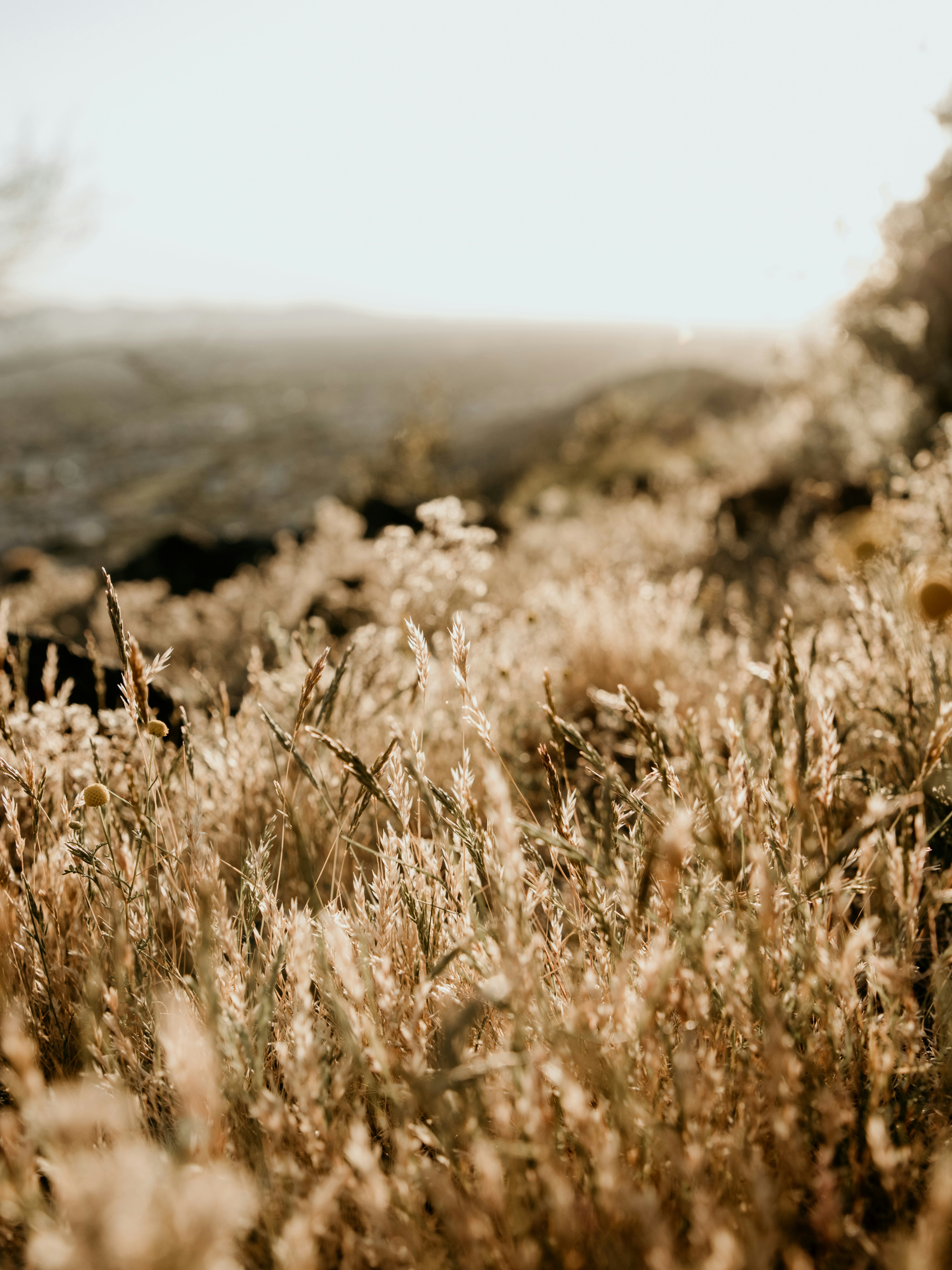 Photo by johnihreniuc