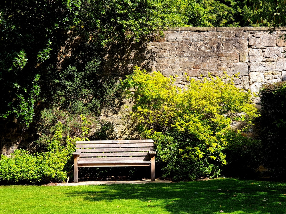 brown wooden bench beside green trees during daytime