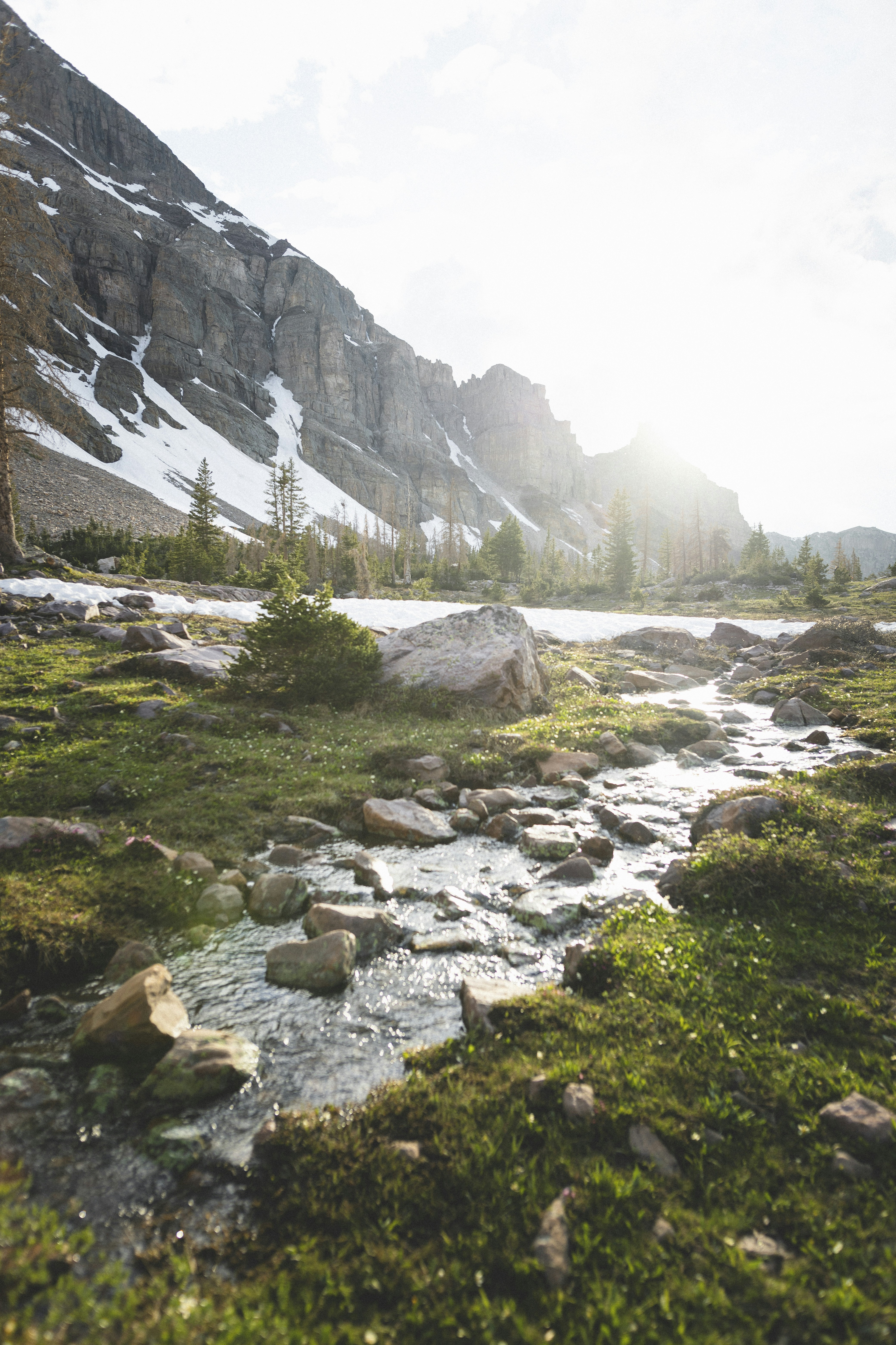 Photo by ryanpearson