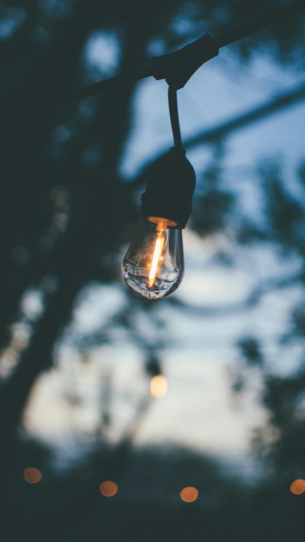 black and clear light bulb