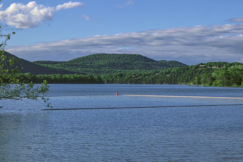 person in red shirt and black pants standing on white sand near body of water during