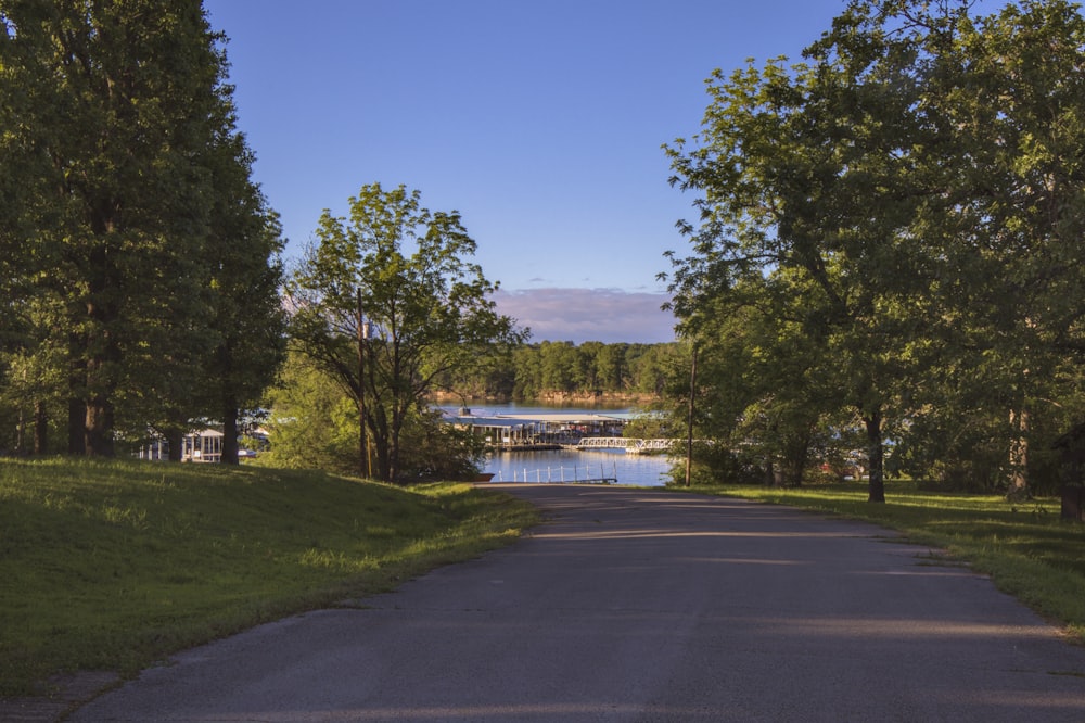 green trees near body of water under blue sky during daytime