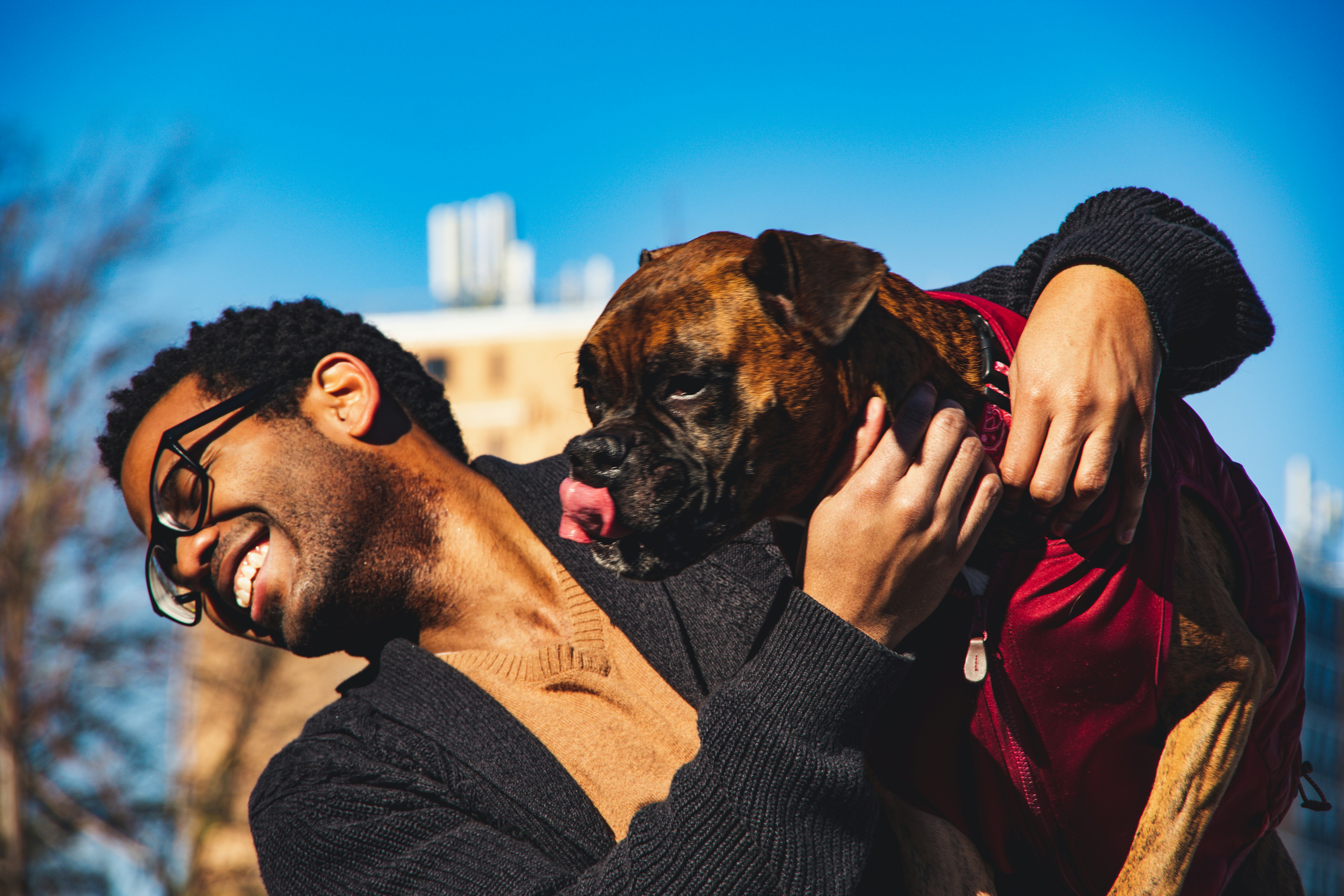Why Some Dogs Are Born Show-Offs: The Secret Behind Natural Canine Entertainers