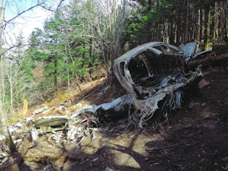 An airplane wreckage is located in a dense forest area. The fuselage is heavily damaged and scattered across the forest floor. The surrounding area is filled with trees, some standing while others are broken and leaning. The forest is lush with greenery and dappled sunlight filters through the branches.