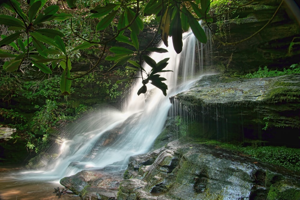 water falls in the middle of the woods