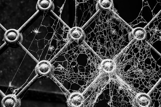 Intricate spider webs are woven across a lattice of metallic rods connected by circular joints. The detailed webbing is prominently displayed against the dark background, highlighting the fragile and delicate nature of the webs with fine strands extending between the nodes.