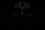 A dark image of an intricately designed, ornate skull with carved patterns. The lighting is low, adding to the mysterious and eerie atmosphere.