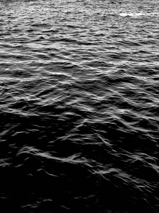 grayscale photo of body of water in Ottawa Canada