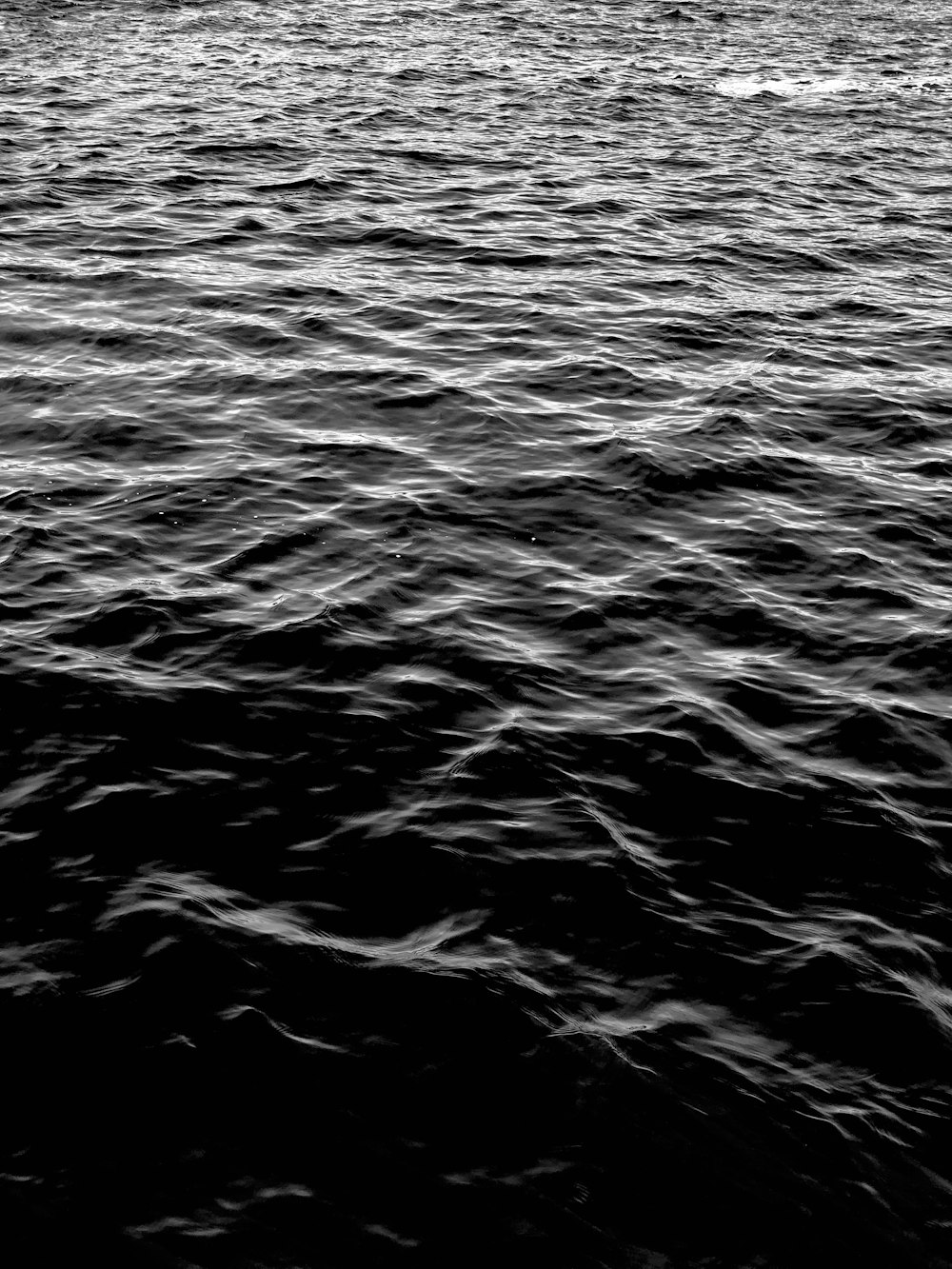 grayscale photo of body of water