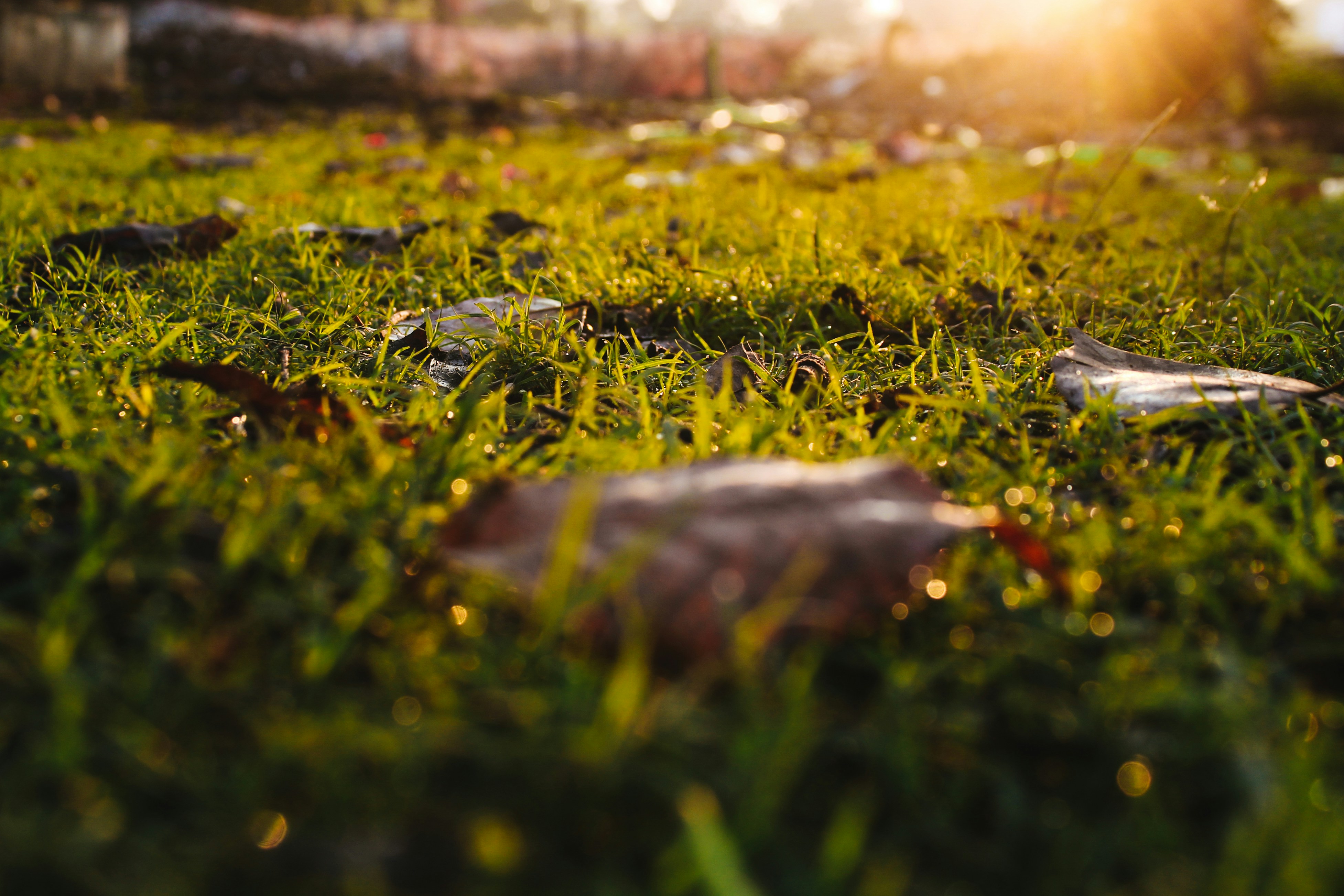 Photo by rituraj2020_photography